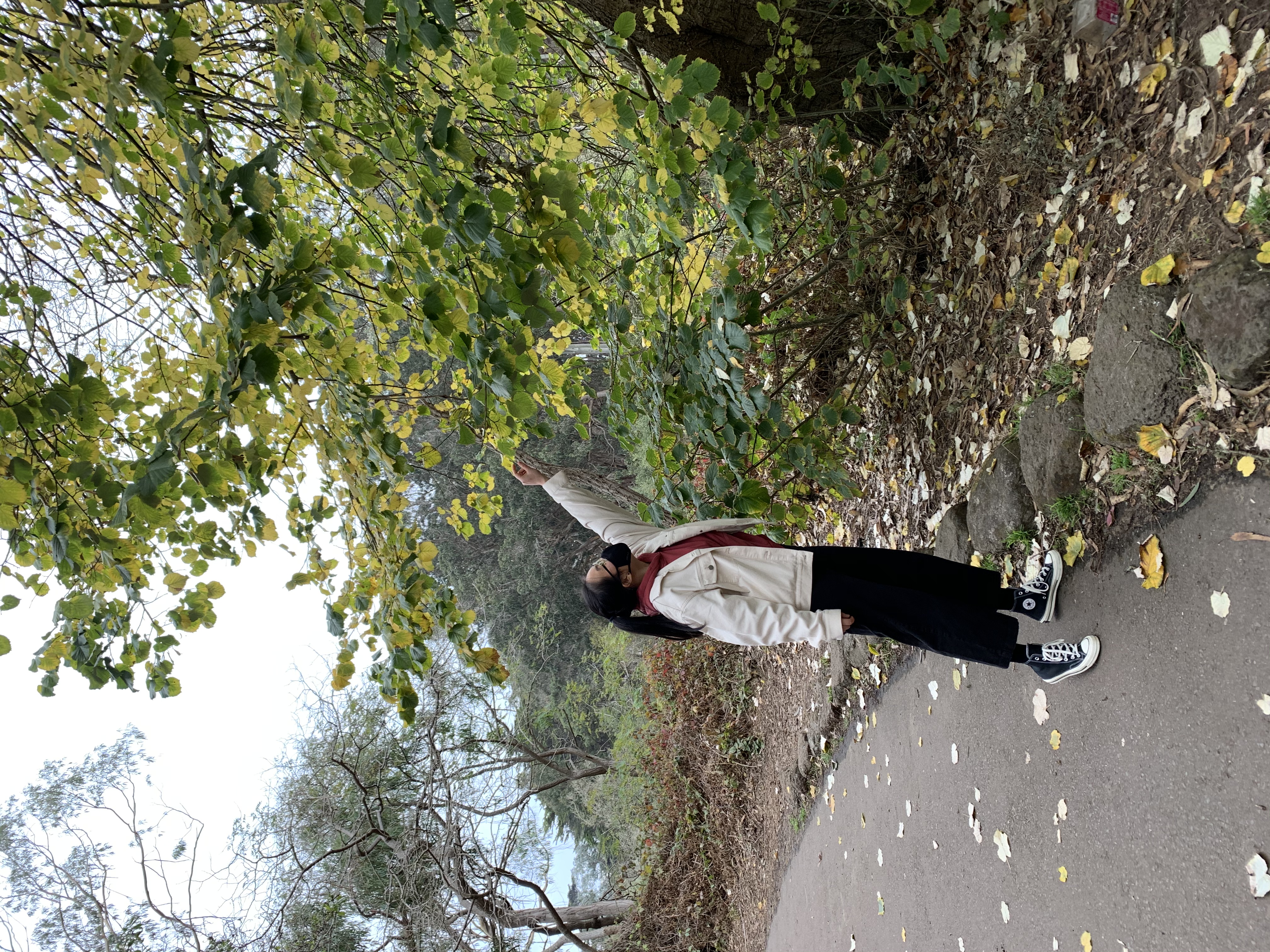 yuying picture